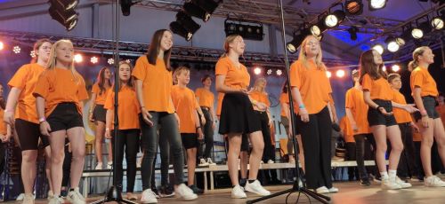 950 Jahre Neckartenzlingen